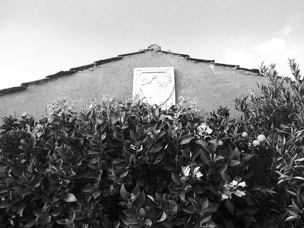B&B Colle Cucchiara Cassino Dış mekan fotoğraf